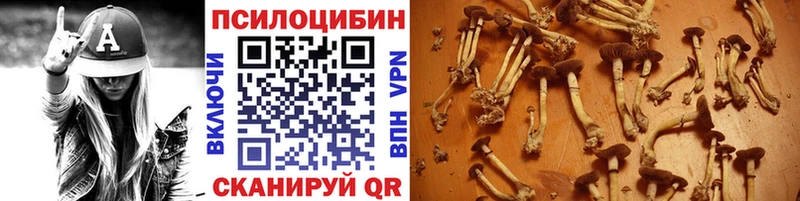 Псилоцибиновые грибы мухоморы  Купить закладки  Струнино 